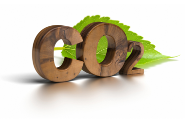 CO2, WOOD